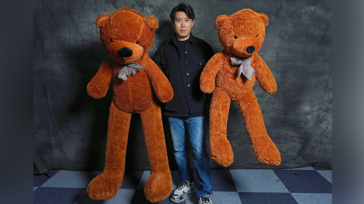 Teddy Bear Appearance (Small) by MS Magic