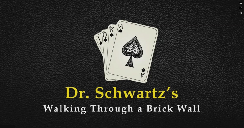 Walking Thru a Brick Wall by Martin Schwartz trailer
