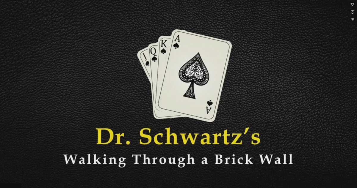 Walking Thru a Brick Wall by Martin Schwartz trailer